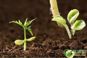 ���պ÷����g���Pϵ����ֲ���ṩ��ѠI�B��