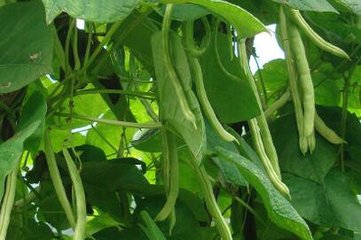 ����ʩ�ʺ��ļ��g(sh��)