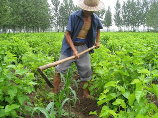 ��΢���I�BԪ�ط������������˂����Pע����ҕ