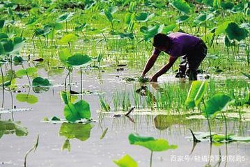 ɏź��ʩ���м���