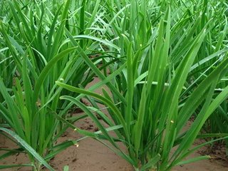 ��������ʩ�ʼ���