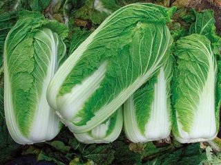 �ײ�Ҫ�߮a(ch��n)���ƌW(xu��)ʩ�ʺ��P(gu��n)�I