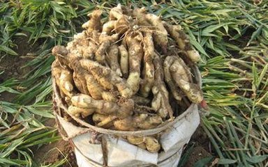 �󽪵�������c(di��n)�Լ���(y��u)�a(ch��n)ʩ�ʼ��g(sh��)���r(sh��)�g��