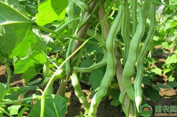 �˶��߮aʩ�ʼ��g