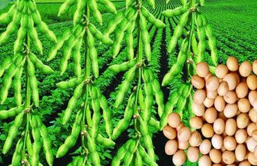 ����ʩ�ʣ��S��ϲ���S