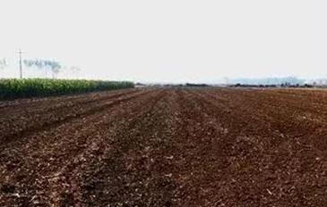 ��Խ���ʡ������c�y���䷽�Y��