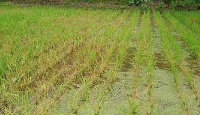 �͜�ʩ�ʽ���