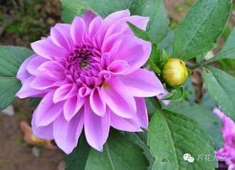 ����ʩ�ʷ���