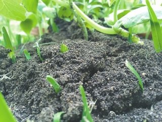 ΢��������c�����{�턩��ʲô�Pϵ��