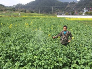 �Ͳ�ʩ�ʼ���