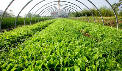 �_ʩ���l�����Q�ć�(y��n)�غ��