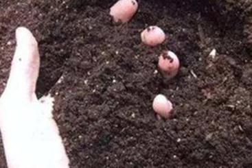 ΢�����������xُ��΢��������xُ�Ĳ�Ҫ