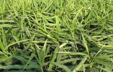 �������L��ʩ��Ҫ�c