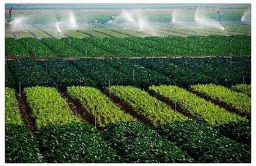 �ͺϷ�ʩ��Ҏ�t������