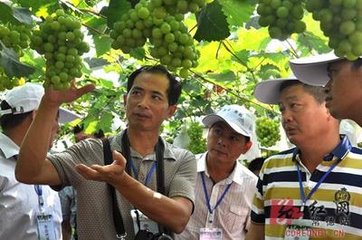 ���|������ʩ���·�