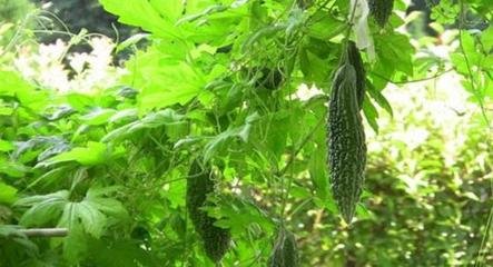 ��߿��ʩ�������ʵķ���