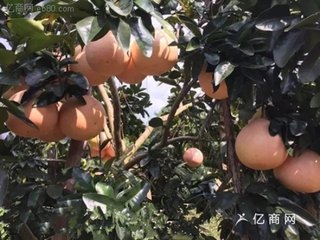 �܃��������֘�Ҫ��ʩ��ʩ��ǰ��