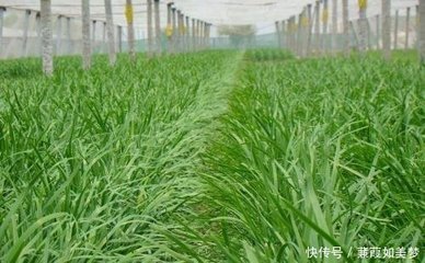 �²˲�ͬ���L�ڵ�ʩ��ԭ�t