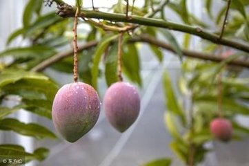 â��ʩ�����ʸ��߮a(ch��n)