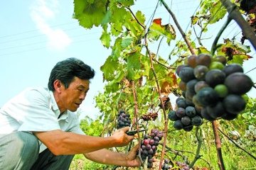 �������Ќ��õĹ��@��ʷ�