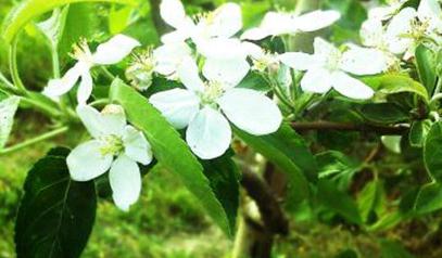 �@�������ص����_ʹ�÷��������ص��ķN����;