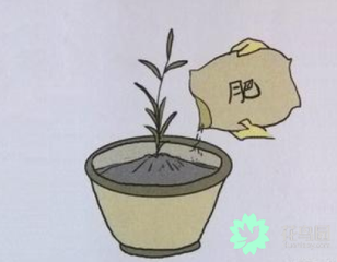 ����ʩ�ʵ����_��������νo����ʩ���L(zh��ng)�úã�