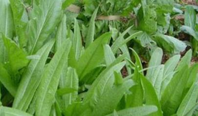 ���ӷN����������������ʩ�ʼ��g(sh��)���P(gu��n)�I