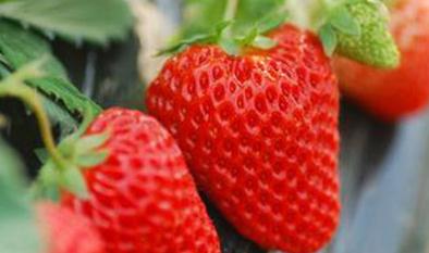 ���Ҫ����ժ��Ĳ�ݮʩ�ʣ��ƌW��ʩ�ʷ�����ʲô��