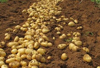 �@Щ������ô�x����ô�N���ܸ߮a���r�I�r�岿�����Nֲ����������