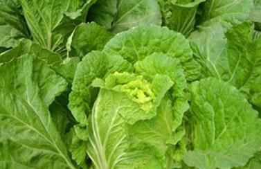 �~���ʩ�ü��g(sh��)�����Y��ˎ�~�����˶���