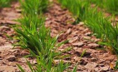 ���׌⛷ʸ���Ч������⛷ʷ�Ч�ķ���