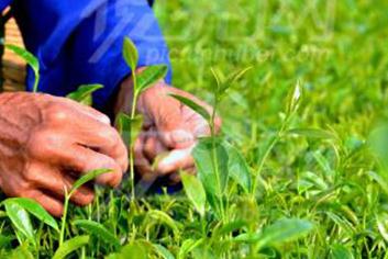 ��@���ʩ�ʣ���@����ʩ�ʹ�������