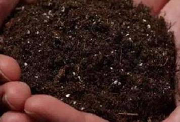 ���������Ԡ����ʹ�÷���