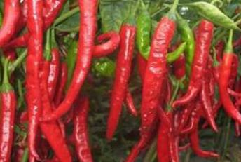 ������˥��ô�k����η��ι�����˥