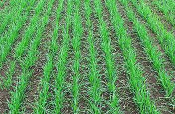 ��ǰС����Ή������룿�����@4�c�����a�����y