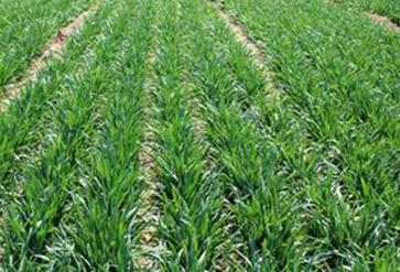 ʹ�û�����Ҫ֪��ʲô��ʩ�ʵĽ�������Щ��