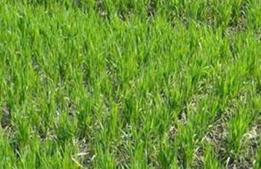 ����С��ʩ����֔��������С��ʩ��ע�����