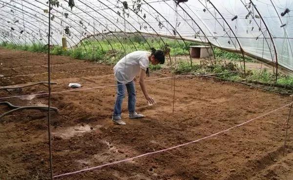 ���������������@Щ���W(xu��)���������ٲ������g�s����