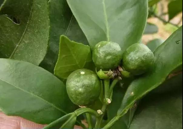 ���ʹ��ʮ���`�^(q��)Ҫע�⣬���_��ʹ�÷������@�