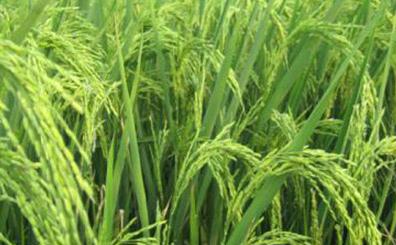 ˮ���a���{ˮ�����߮a��ˮ��ʩ�ʷ���