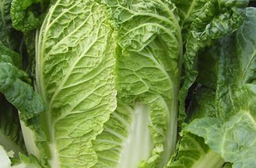 ���ײ���ô�Nֲ�a���ߣ��Nֲ���ײ˵ļ��gҪ�c