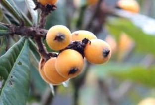 �����ѹ���ô�k�����˷�������ĿƌW(xu��)ʩ�ʷ���