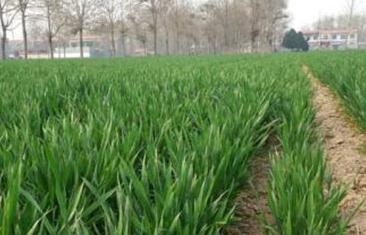 С��Խ��������أ���ξ���С��Խ�����磿