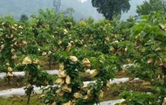 �r�ҷʺͻ�����ʩ�ɸ߮a���r�ҷʺͻ�����ʩ����