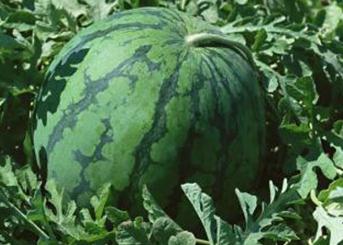 ������ô���ࣿ����С���ϵ����_���༼�g(sh��)