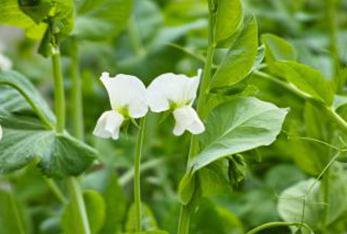 �������ʲô��Ч������ʵ�����