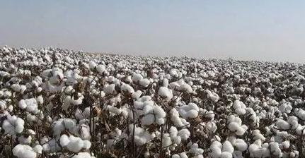 2019��ɽ�|ʡ�޻��������缼�g��Ҋ