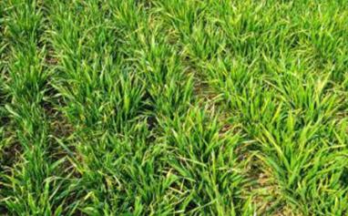 ʩ��С֪�R�����l��Ӱ�ʩ�ʵķ�Ч�᣿