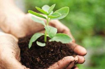 �r�ҷ��m�õ�Ҫ���a����