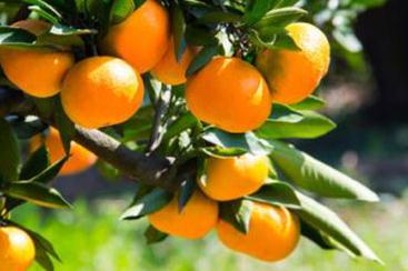 �̽�������Ҏ(gu��)�ɣ��Լ��̽�����ʩ�ʼ���